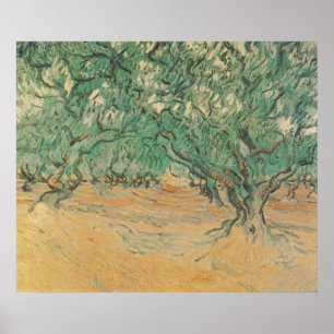 Affiche Bosquet d'oliviers de Van Gogh - Art de la nature