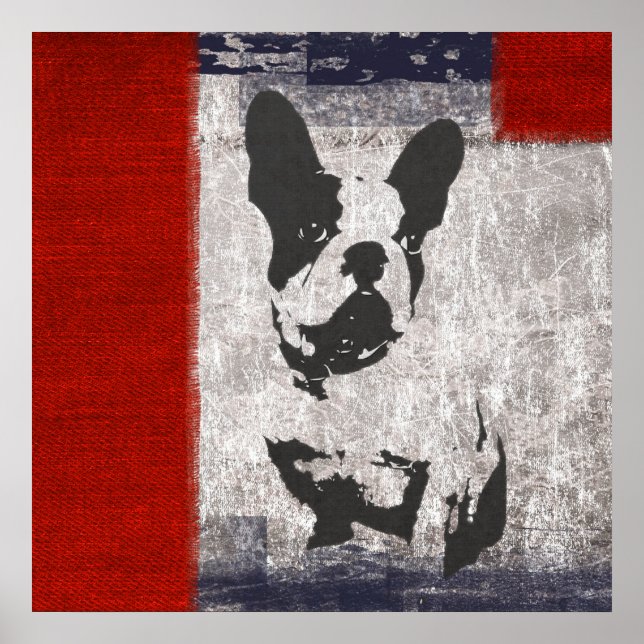 Affiche Boston Terrier en noir et blanc avec frontière rou (Devant)