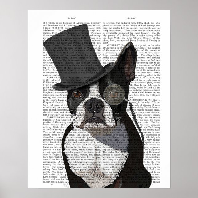 Affiche Boston Terrier, Formal Hound et Casquette (Devant)