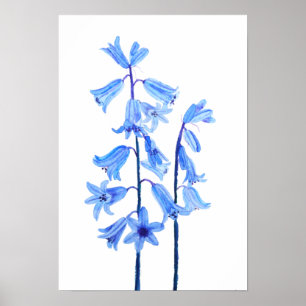 Affiche Botanical bluebells flower watercolor