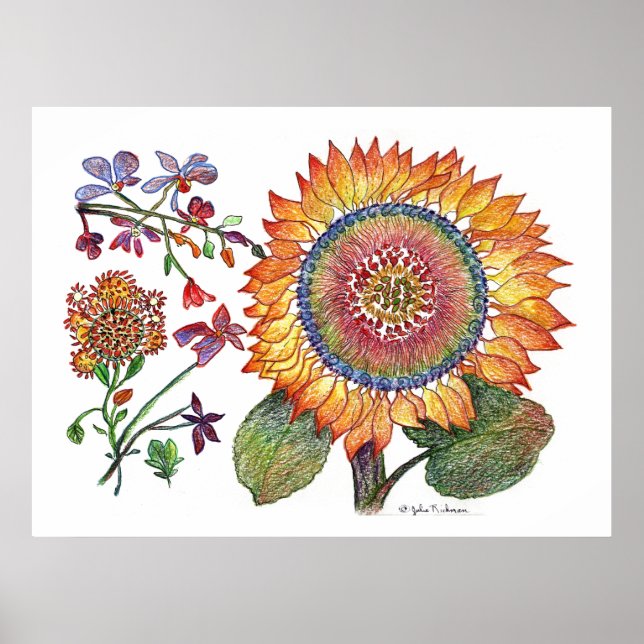 Affiche botanique46 (Devant)