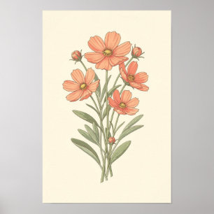 Affiche botanique Coral Cosmos et Sage