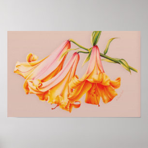 Affiche botanique d'art fin "Lilies"