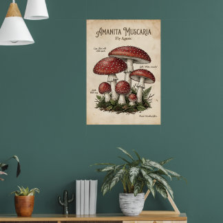 Affiche botanique de champignon Amanita