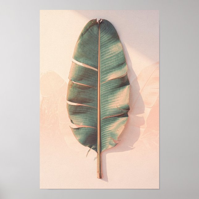 Affiche botanique de feuille de bananier (Devant)