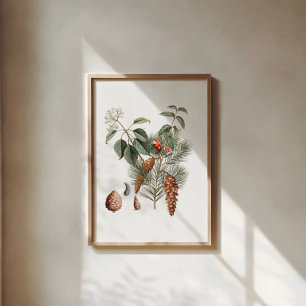 Affiche Botanique de la forêt – Cône de pin et baie 