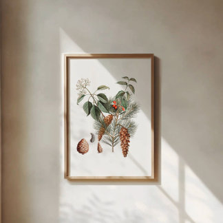 Affiche Botanique de la forêt – Cône de pin et baie 