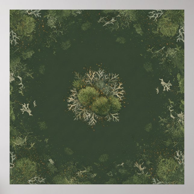 Affiche botanique de mandala de mousse et de liche (Devant)