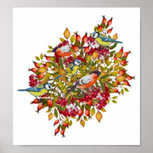 Affiche botanique d'illustration de plantes et