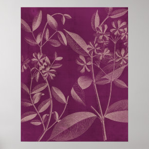 Affiche Botanique moderne III