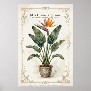 Affiche botanique vintage encadrée de l'oiseau de