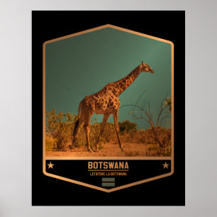 Affiche Botswana