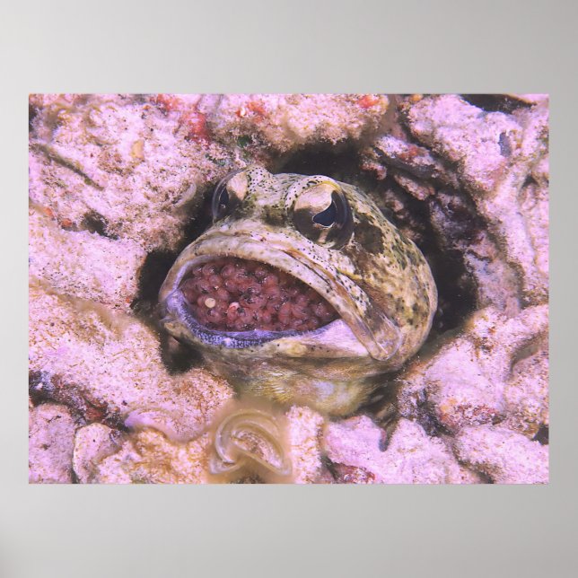 Affiche Bouche (Devant)