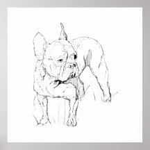 Boucledog français – Illustration de chien dessiné