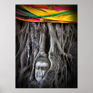 Affiche Bouddha Et Le Bouddhisme Arbre Thaïlande Photograp