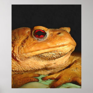 Affiche Boufo Bufo Bufo, Boufo noir