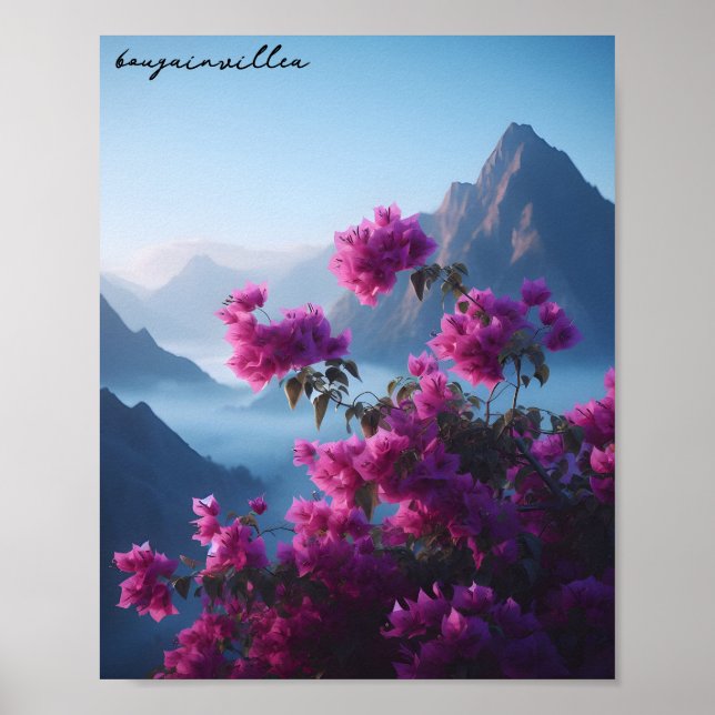 Affiche bougainvilliers nature bleu ciel (Devant)