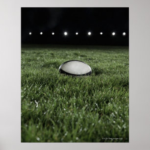 Affiche Boule de rugby assise sur le terrain d'une pelouse