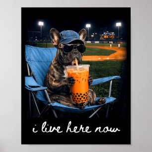 Affiche Bouledogue boit du café glacé terrain de baseball