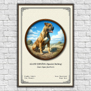Affiche Bouledogue Espagnol (Alano Español) Série de Zoolo