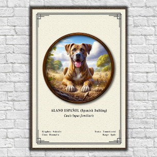 Affiche Bouledogue Espagnol (Alano Español) Série de Zoolo