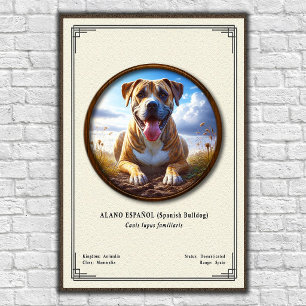 Affiche Bouledogue Espagnol (Alano Español) Série de Zoolo