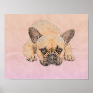 Affiche Bouledogue français - chien de Frenchie