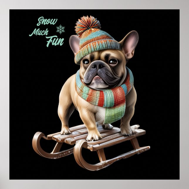 Affiche Bouledogue français faisant une descente en traîne (Devant)