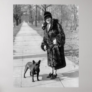 Affiche Bouledogue français, les années 1920