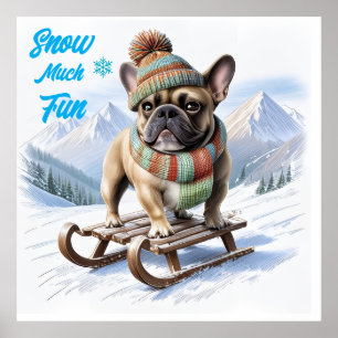 Affiche Bouledogue français traîneau  French Bulldog