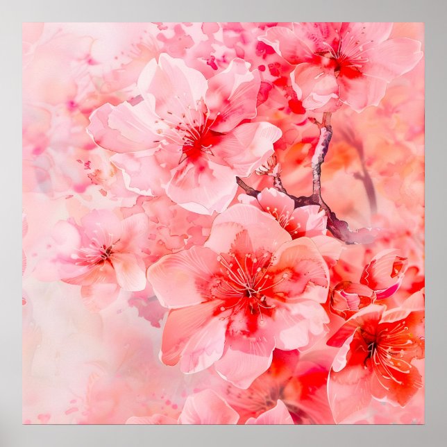 Affiche Boules de fleurs de cerisier d'aquarelle (Devant)