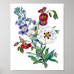 Affiche Bouquet de fleurs aquarelle vintage