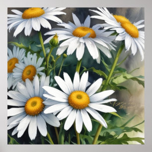 Affiche Bouquet de fleurs élégant aquarelle de pâquerettes
