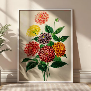 Affiche Bouquet de fleurs vintage Illustration botanique