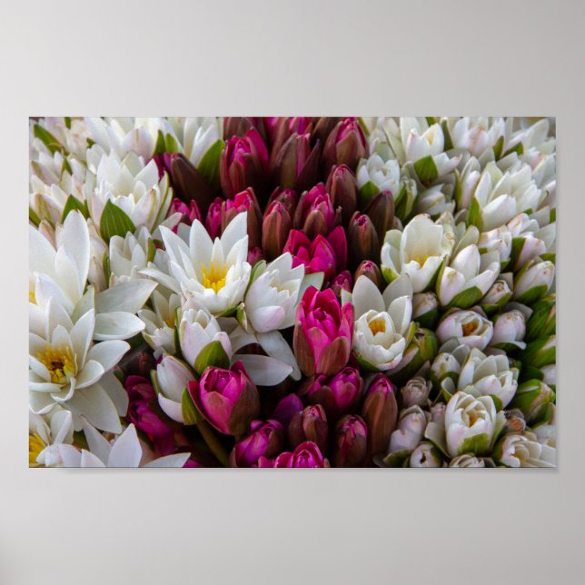 Affiche Bouquet de fleurs Zen Lotus (Devant)