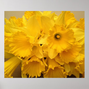 Affiche Bouquet de jonquilles