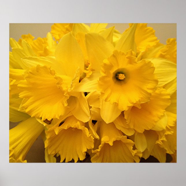 Affiche Bouquet de jonquilles (Devant)