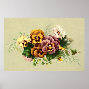 Affiche Bouquet de pensées vintage