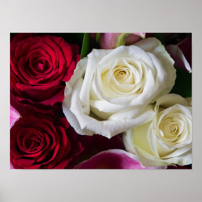 AFFICHE BOUQUET DE ROSES (Devant)