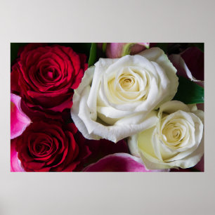 AFFICHE BOUQUET DE ROSES