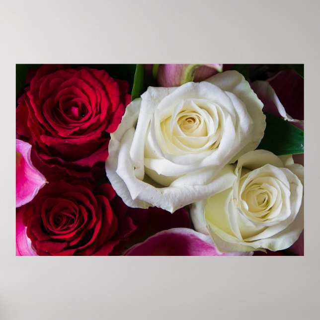 AFFICHE BOUQUET DE ROSES (Devant)