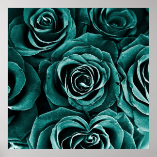 Affiche Bouquet de roses en Turquoise
