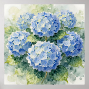 Affiche Bouquet d'hortensias bleu à l'aquarelle