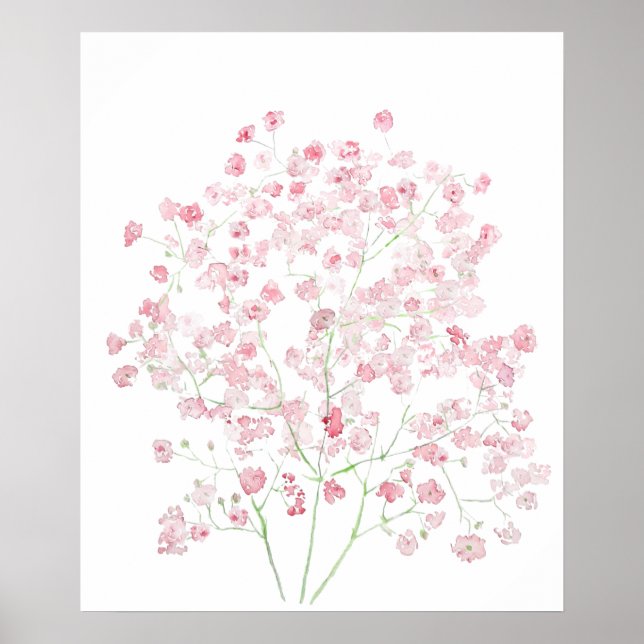 Affiche bouquet gypsophila watercol rose pâle (Devant)