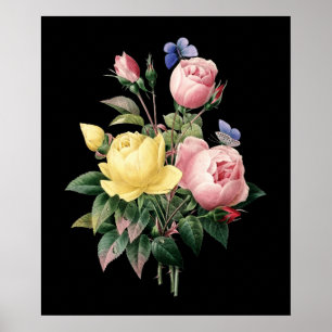Affiche Bouquet rose Redoute noir dramatique arrière - pla