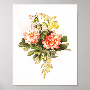 Affiche Bouquet rose Vintage Floral