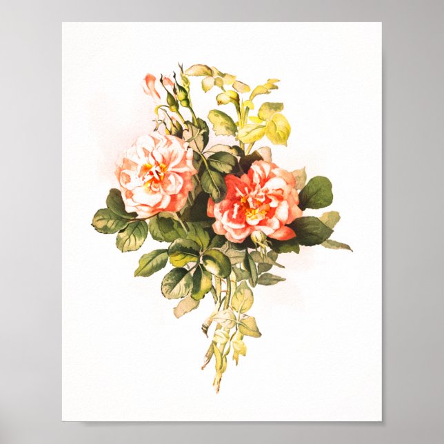 Affiche Bouquet rose Vintage Floral (Devant)