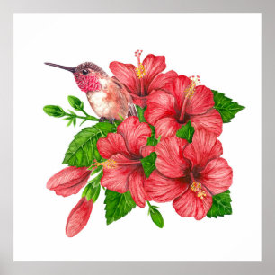 Affiche Bouquet tropical