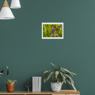 Affiche Bourdon en fleurs - Photographie de nature et d'in
