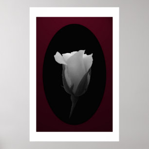 Affiche Bourgeon rose (noir et blanc)
